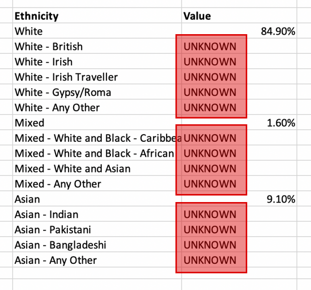 Excerpt from spreadsheet highlighting multiple missing values for detailed ethnic breakdowns