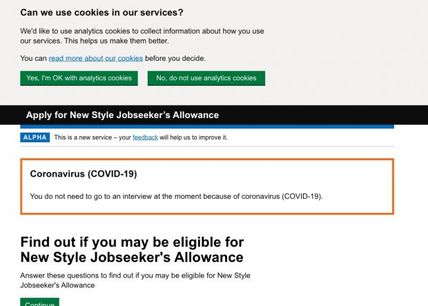 Screenshot of 'Apply for New Style Jobseeker's Allowance' webpage, showing the cookie consent banner